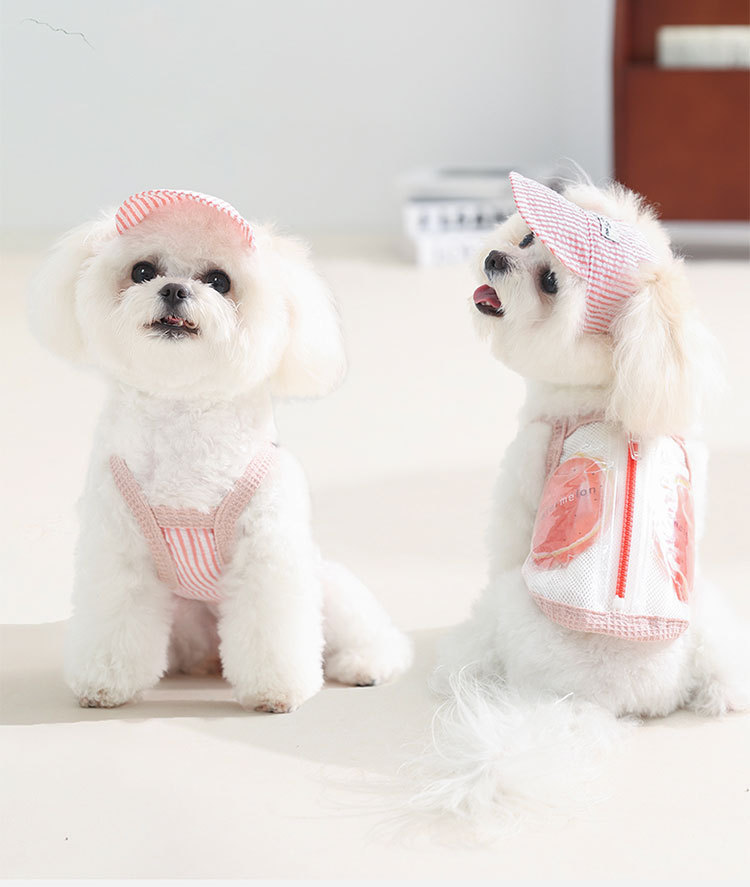 Pet Striped Summer Medical Uniform Recovery Suit with Matching Cap